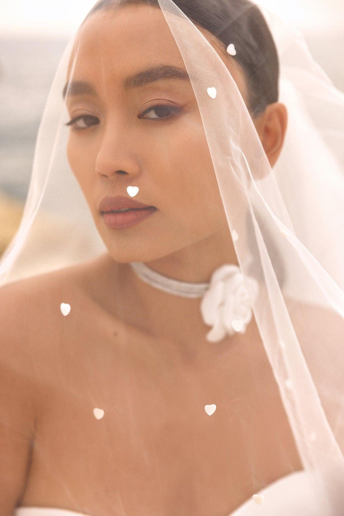 Ivy - Image 4